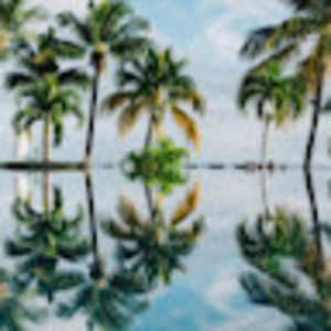 Meet your Posher, Mia